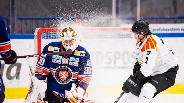 Växjö Lakers artwork 5