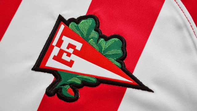 Estudiantes de la Plata artwork 5