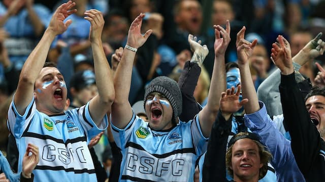 Cronulla Sharks artwork 5