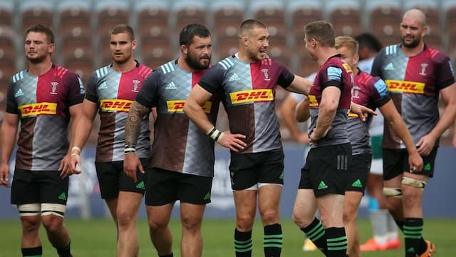 Harlequins artwork 5