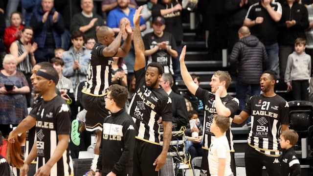 Newcastle Eagles artwork 5