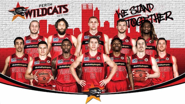 Perth Wildcats artwork 5