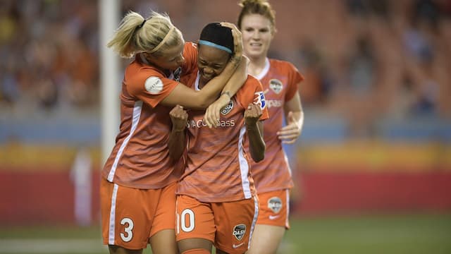 Houston Dash artwork 5