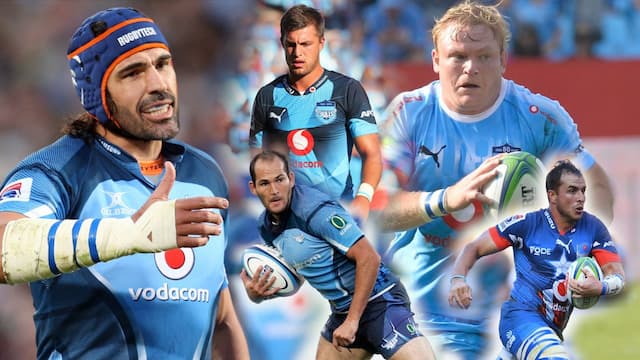 Bulls Super Rugby artwork 5