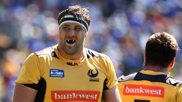 Western Force artwork 5