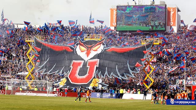 Universidad de Chile artwork 4