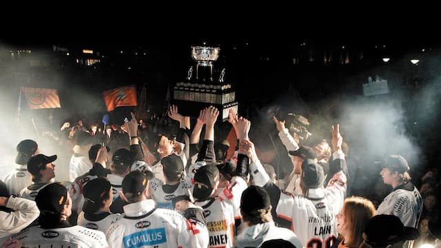 Hämeenlinnan artwork 5