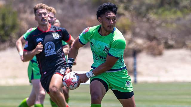 Seattle Seawolves artwork 5