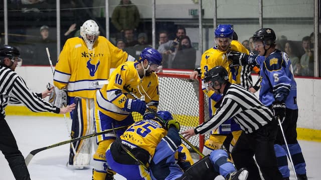 West Auckland Admirals artwork 2