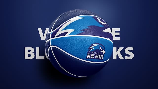 Værløse Blue Hawks artwork 2