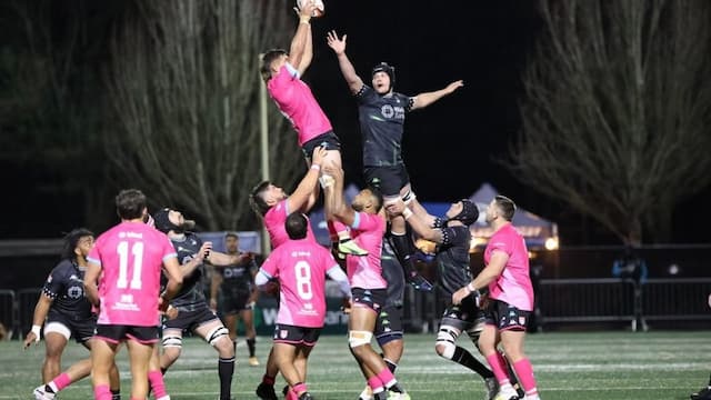 Miami Sharks artwork 5