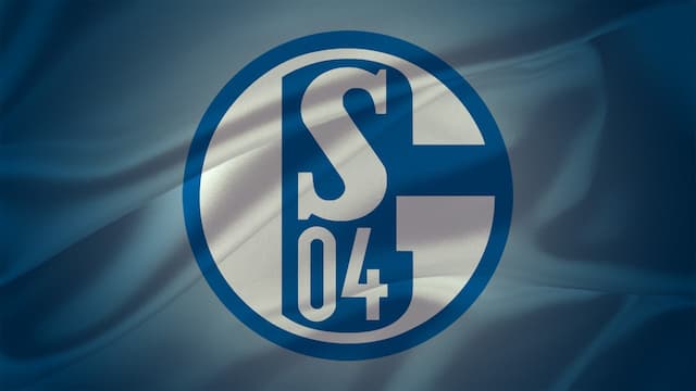 Schalke 04 artwork 6