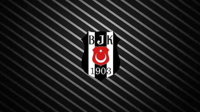 Besiktas artwork 5