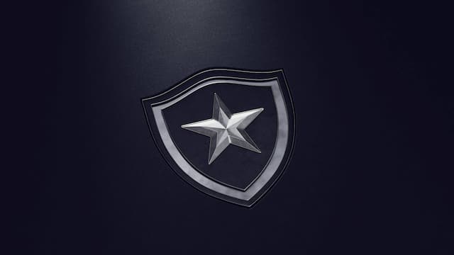 Botafogo RJ artwork 6