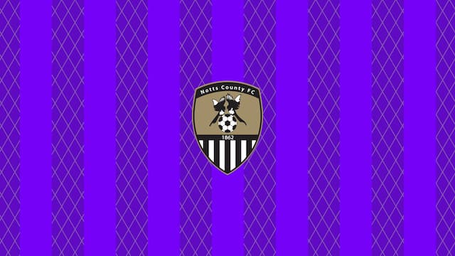 Notts County artwork 6