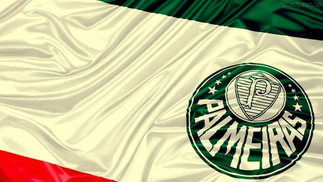 Palmeiras artwork 6