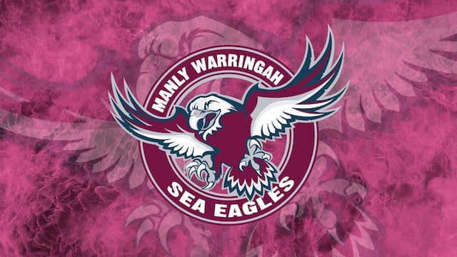 Manly Sea Eagles artwork 6