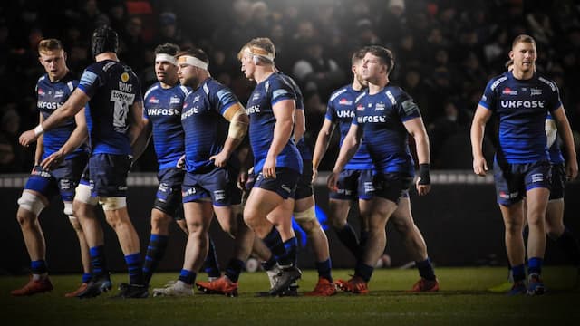 Sale Sharks artwork 6