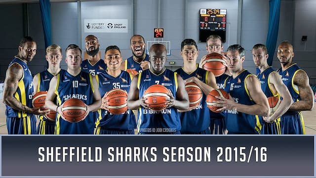 Sheffield Sharks artwork 6