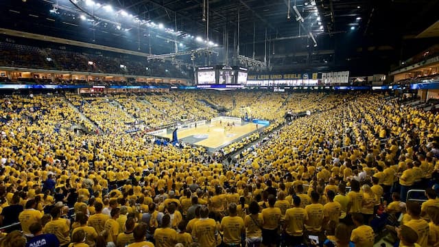 ALBA Berlin artwork 5