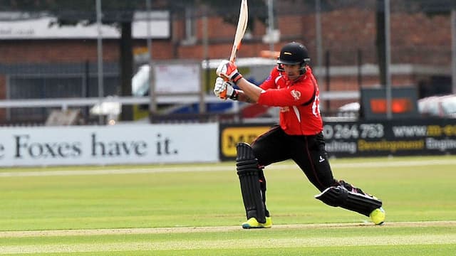 Leicestershire Foxes artwork 6