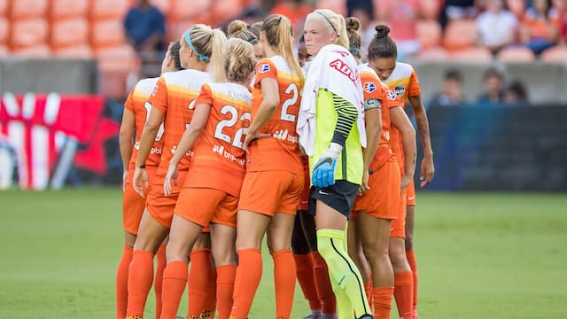 Houston Dash artwork 6