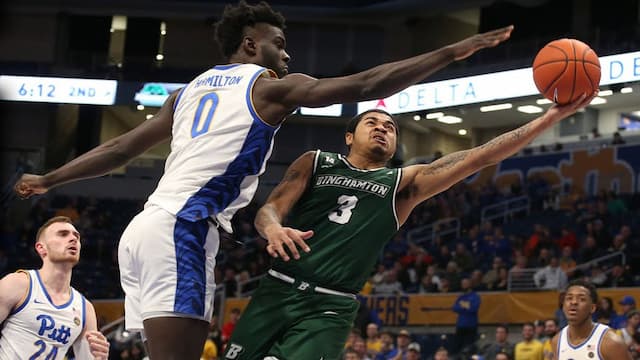 Binghamton artwork 5