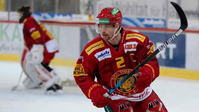 Langnau Tigers artwork 6