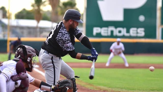 Rieleros de Aguascalientes artwork 6