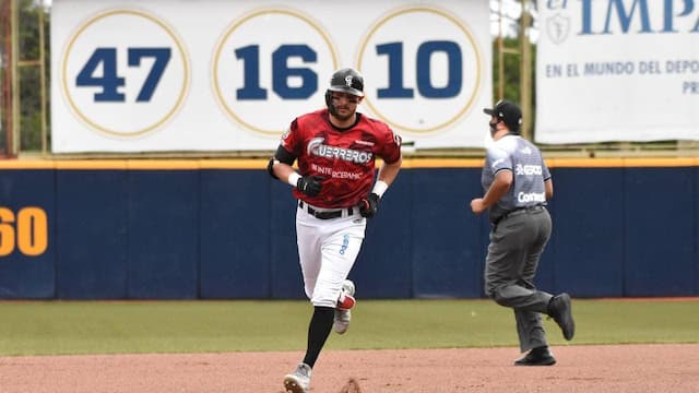 Guerreros de Oaxaca artwork 6