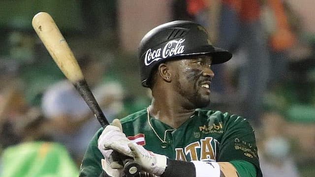 Leones de Yucatán artwork 6