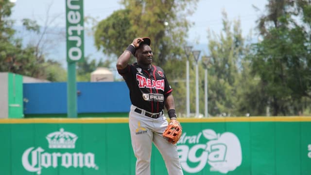 Olmecas de Tabasco artwork 6