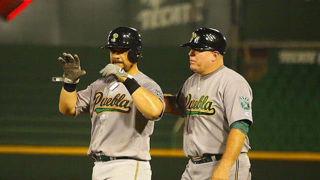 Pericos de Puebla artwork 6