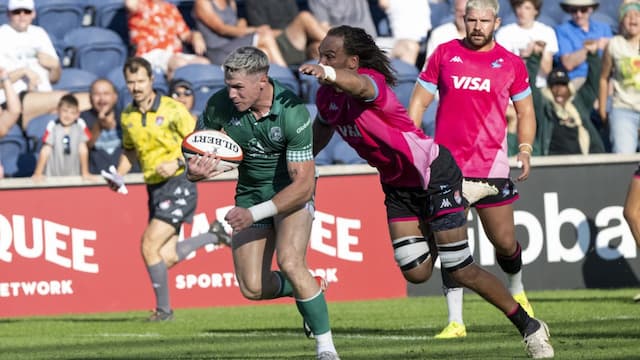 Miami Sharks artwork 6