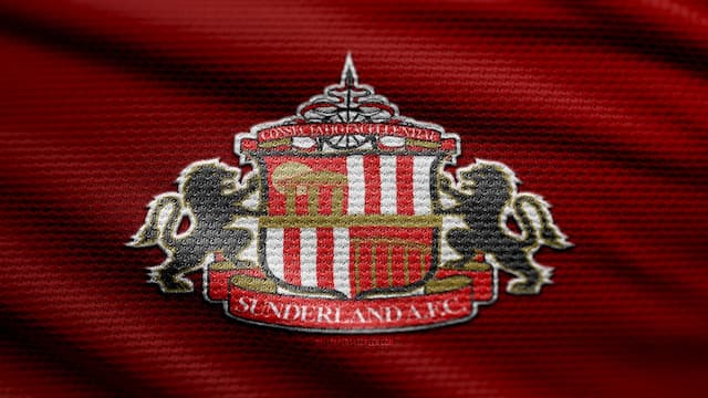 Sunderland artwork 7