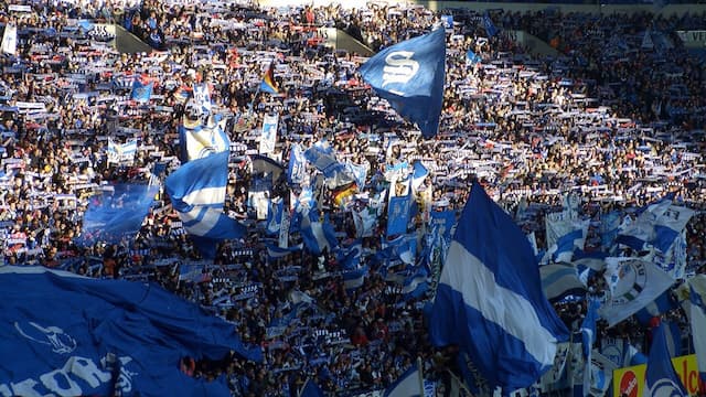 Schalke 04 artwork 7