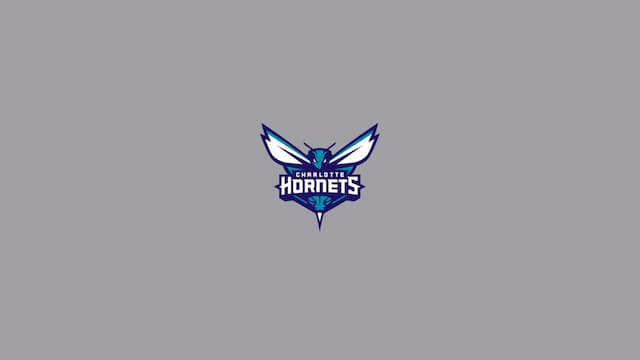 Charlotte Hornets artwork 7