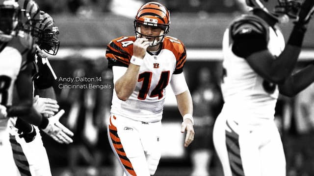 Cincinnati Bengals artwork 7