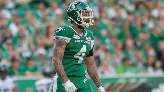 Saskatchewan Roughriders artwork 7