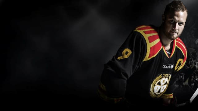 Brynäs IF artwork 7