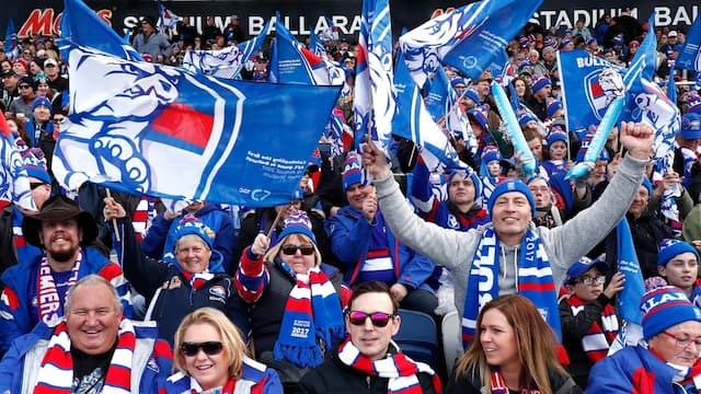 Western Bulldogs artwork 7