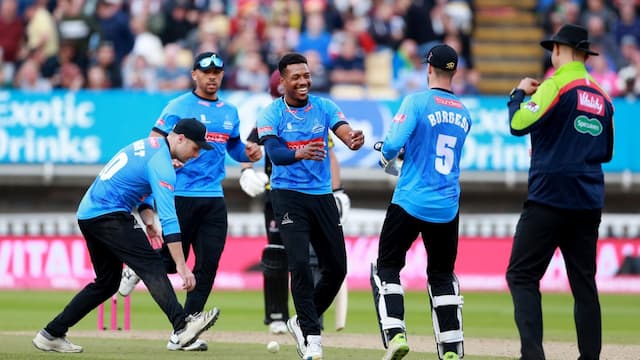 Sussex Sharks artwork 7