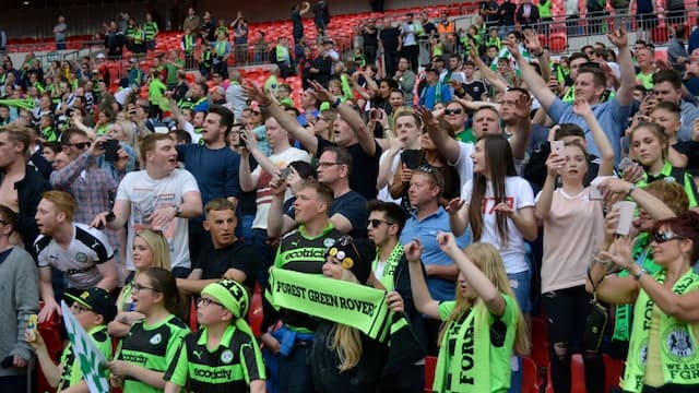 Forest Green Rovers artwork 7