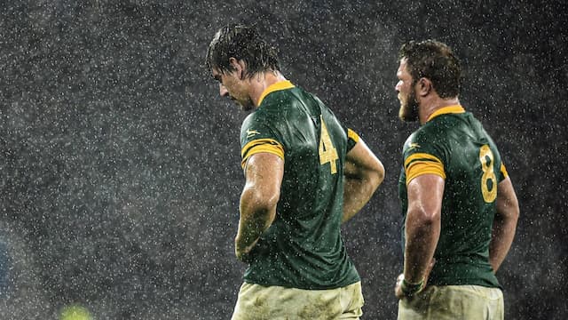 South Africa Rugby artwork 7