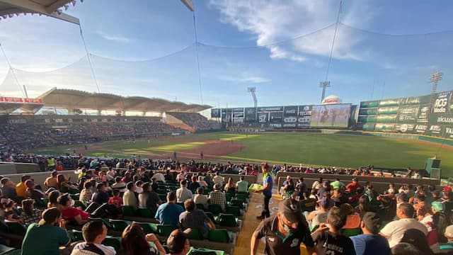 Saraperos de Saltillo artwork 7