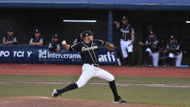 Guerreros de Oaxaca artwork 7