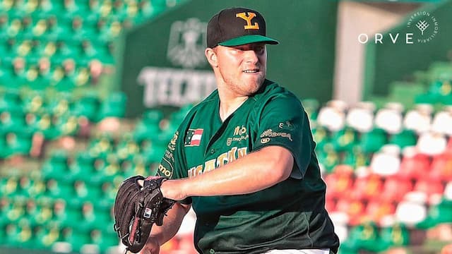 Leones de Yucatán artwork 7