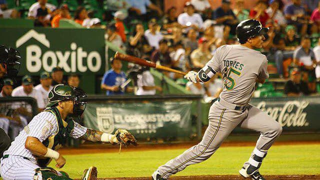 Pericos de Puebla artwork 7