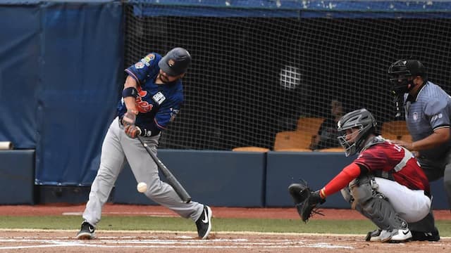 Tigres de Quintana Roo artwork 7