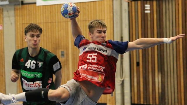 Handball Sport Verein Hamburg artwork 7